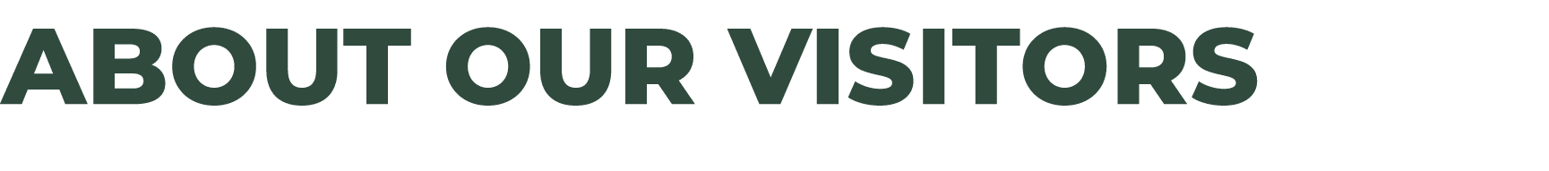 About our visitors