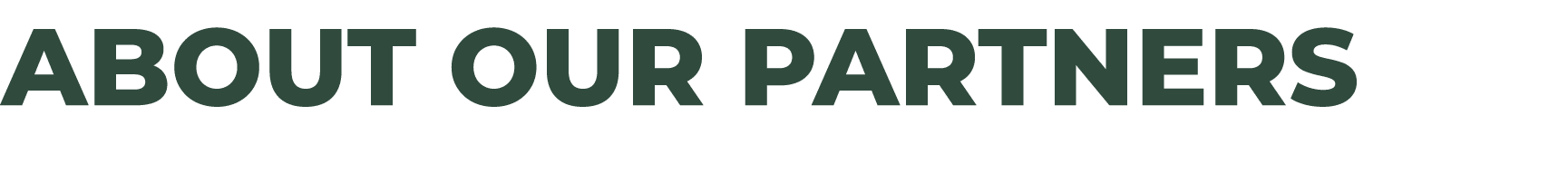 About our partners 