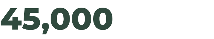 45,000