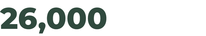 26,000
