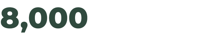 8,000