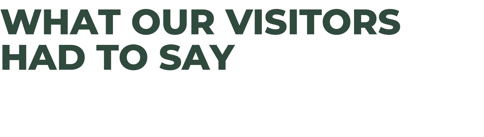 What our visitors had to say 