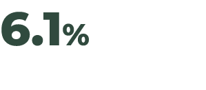 6.1%
