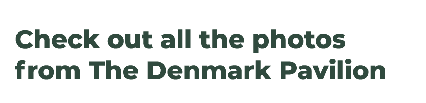 Check out all the photos from The Denmark Pavilion 